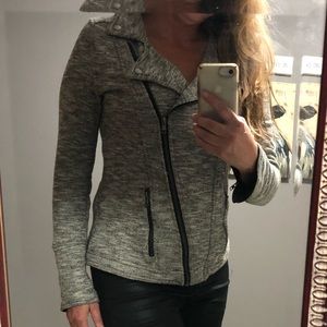 Market & Spruce Moto Jacket